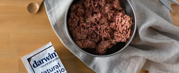 Darwin's Natural Pet Products raw dog food served in a stainless steel bowl