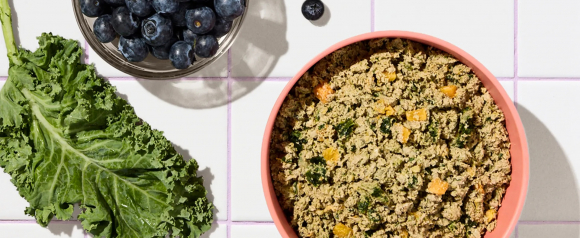 Bowl of fresh dog food with vegetables and leafy greens beside blueberries on a kitchen counter, representing healthy ingredients used in Ollie pet food recipes.