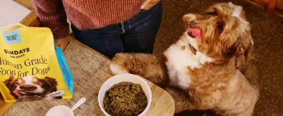 Excited dog licking its lips beside a bowl of Sundays for Dogs Human Grade Chicken Recipe air-dried dog food