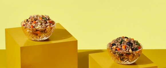 Two glass bowls filled with fresh pet food made with meat, vegetables, and grains displayed on yellow blocks, representing balanced meals from The Pets Table pet food.